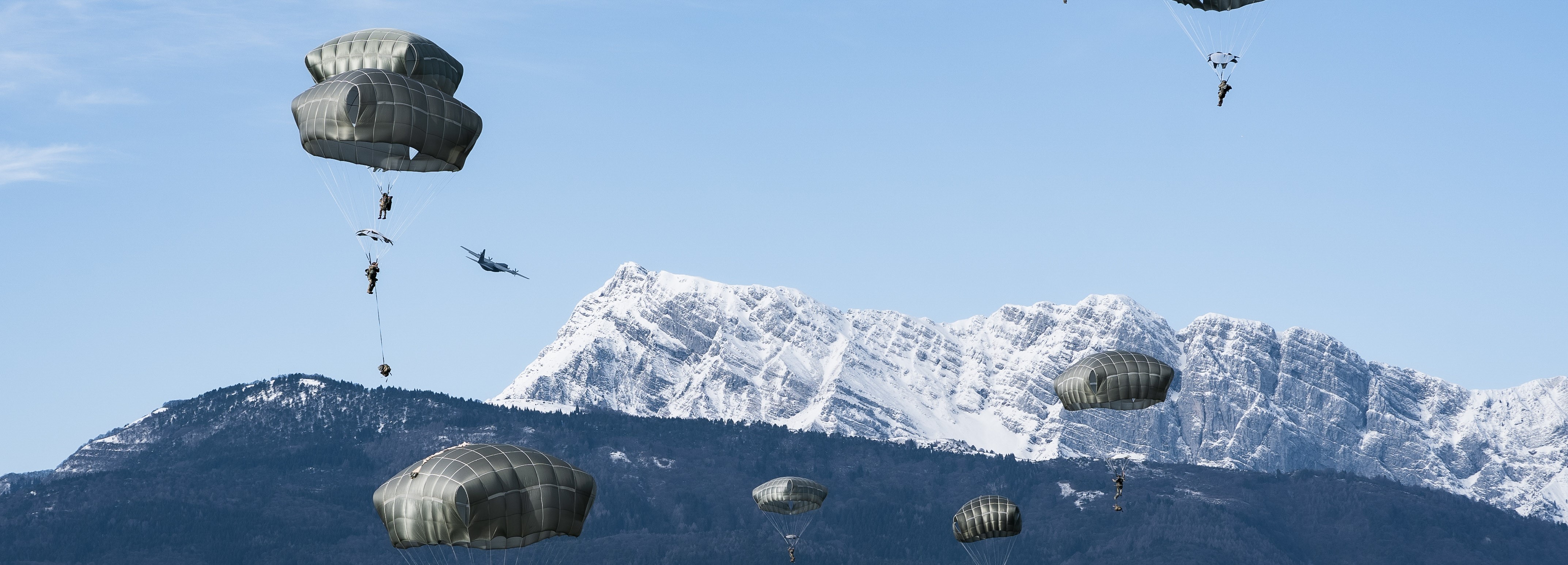 173rd Airborne Brigade 